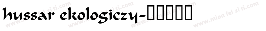 hussar ekologiczy字体转换